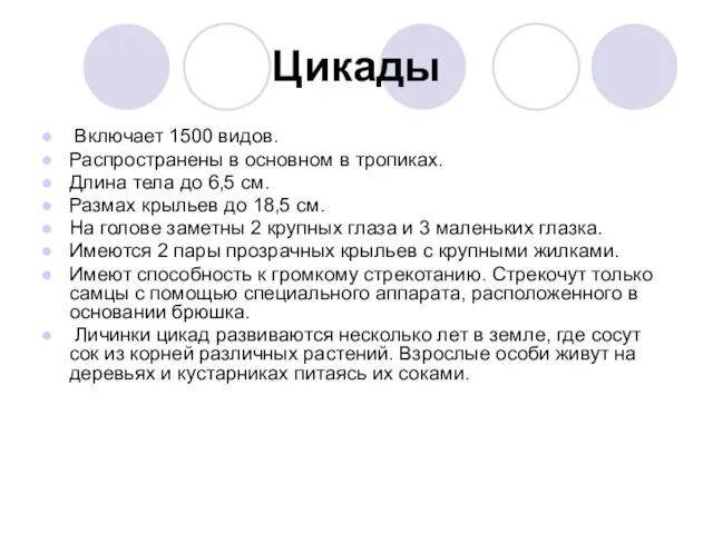 Цикады Включает 1500 видов. Распространены в основном в тропиках. Длина