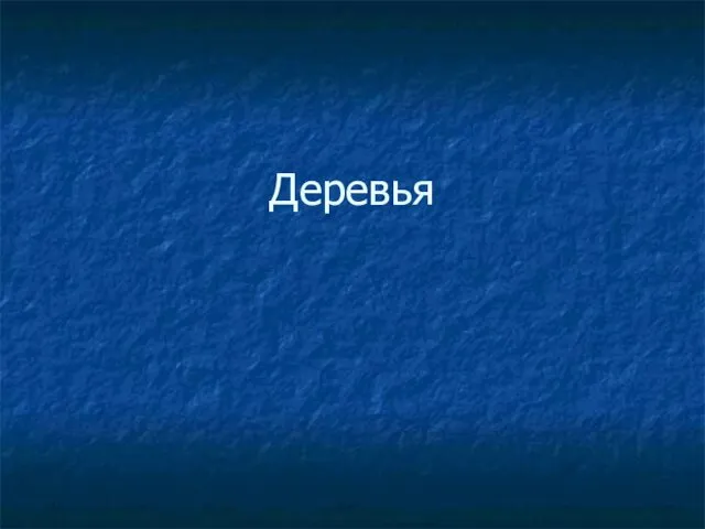 Деревья