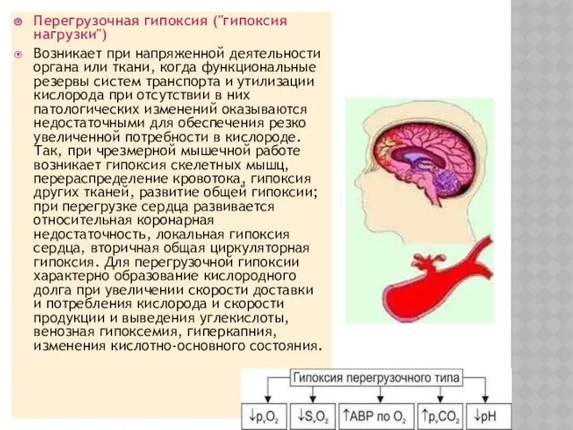 Перегрузочная гипоксия ("гипоксия нагрузки") Возникает при напряженной деятельности органа или