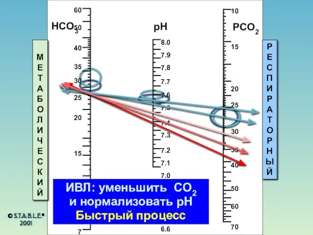 HCO3 pH PCO2 МЕТАБОЛИЧЕСКИЙ РЕСПИРАТОРНЫЙ ИВЛ: уменьшить CO2 и нормализовать pH Быстрый процесс © S.T.A.B.L.E.® 2001