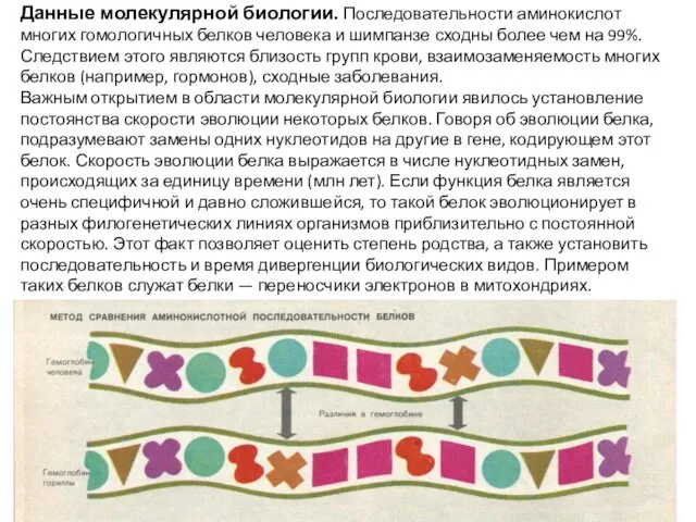 Данные молекулярной биологии. Последовательности аминокислот многих гомологичных белков человека и