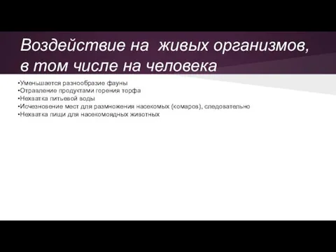 Воздействие на живых организмов, в том числе на человека Уменьшается разнообразие фауны Отравление