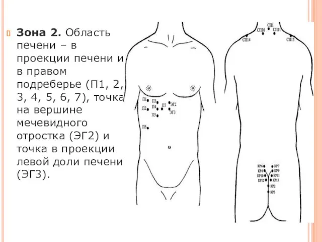 Зона 2. Область печени – в проекции печени и в