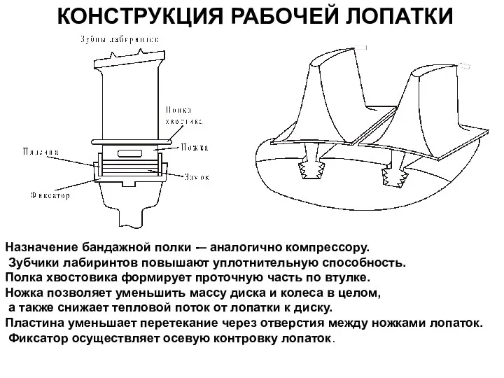 КОНСТРУКЦИЯ РАБОЧЕЙ ЛОПАТКИ Назначение бандажной полки -– аналогично компрессору. Зубчики