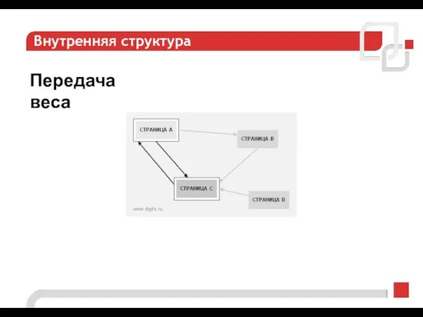 Внутренняя структура Передача веса