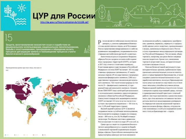 ЦУР для России http://ac.gov.ru/files/publication/a/11138.pdf