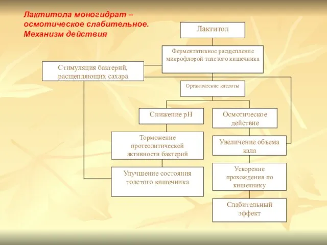 Лактитола моногидрат – осмотическое слабительное. Механизм действия