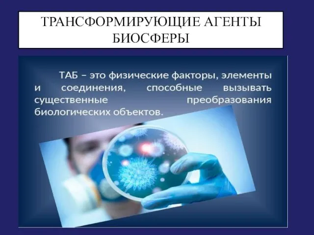 ТРАНСФОРМИРУЮЩИЕ АГЕНТЫ БИОСФЕРЫ