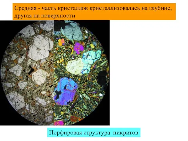Средняя - часть кристаллов кристаллизовалась на глубине, другая на поверхности Порфировая структура пикритов