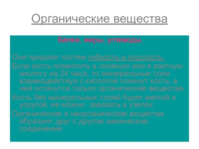 Органические вещества Белки, жиры, углеводы. Они придают костям гибкость и