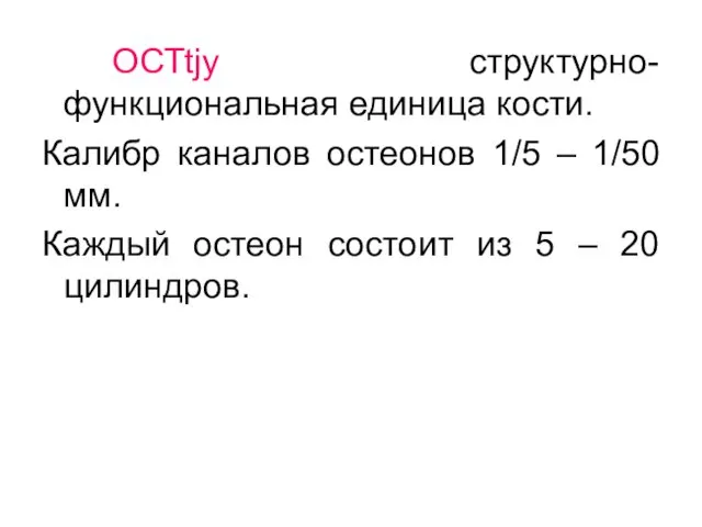 ОСТtjy структурно-функциональная единица кости. Калибр каналов остеонов 1/5 – 1/50