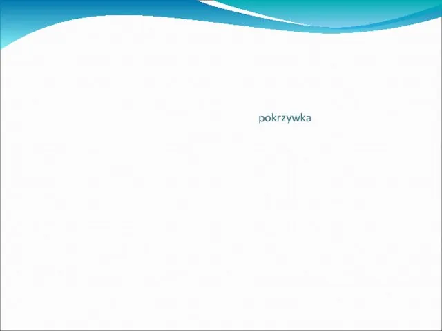 pokrzywka