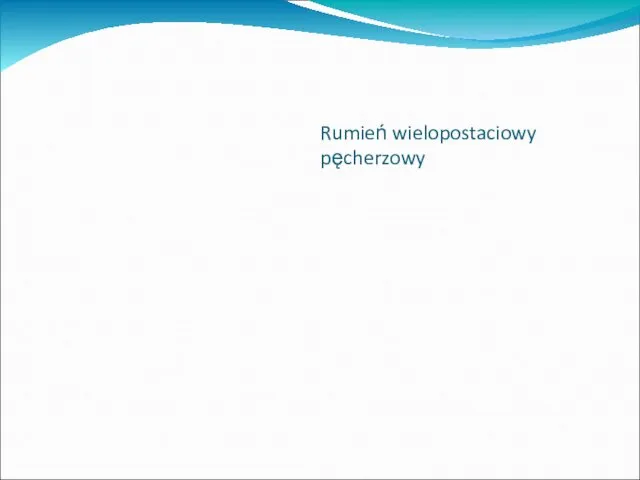 Rumień wielopostaciowy pęcherzowy