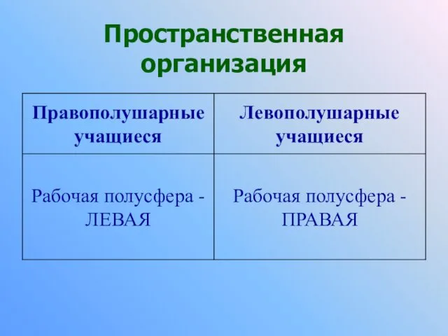 Пространственная организация