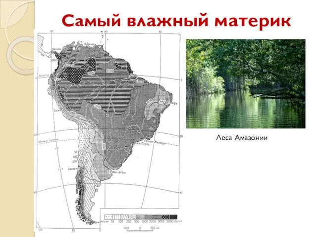 Самый влажный материк Леса Амазонии