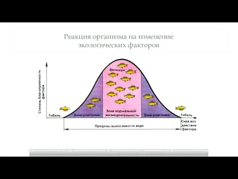 Реакция организма на изменение экологических факторов