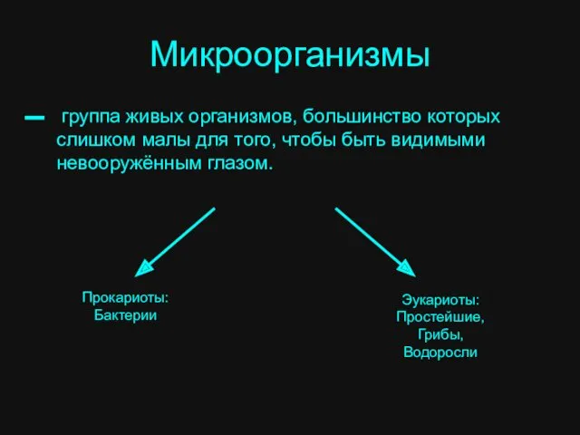 Микроорганизмы группа живых организмов, большинство которых слишком малы для того,