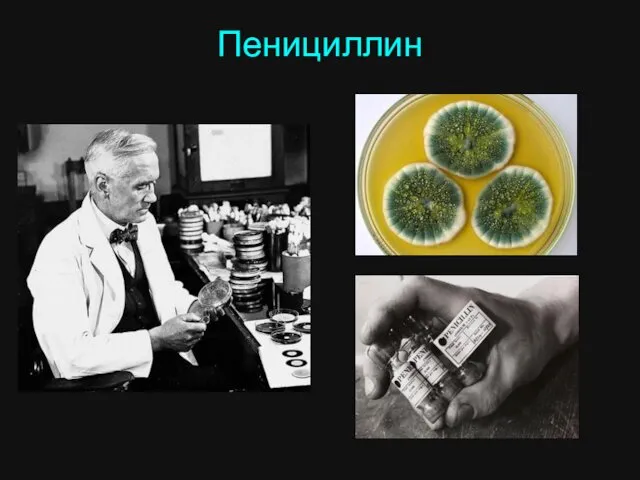 Пенициллин