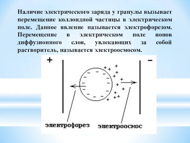 Наличие электрического заряда у гранулы вызывает перемещение коллоидной частицы в