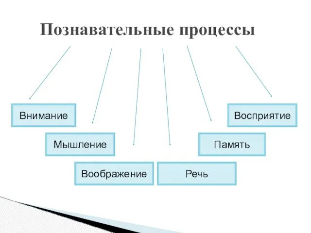 Познавательные процессы Мышление Воображение Память Восприятие Внимание Речь