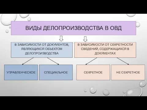 ВИДЫ ДЕЛОПРОИЗВОДСТВА В ОВД В ЗАВИСИМОСТИ ОТ ДОКУМЕНТОВ, ЯВЛЯЮЩИХСЯ ОБЪЕКТОМ