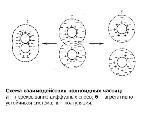 Схема взаимодействия коллоидных частиц: а – перекрывание диффузных слоев; б