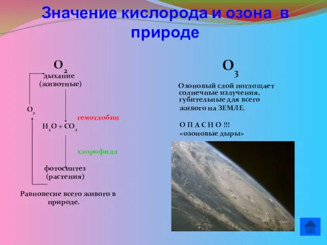 Значение кислорода и озона в природе О2 дыхание (животные) О2