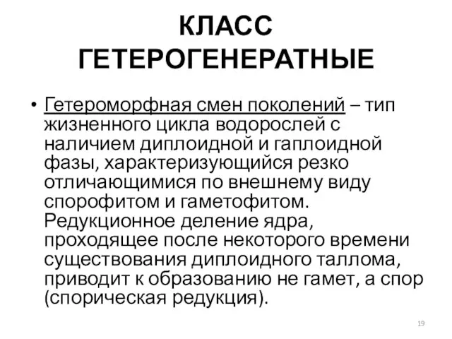 КЛАСС ГЕТЕРОГЕНЕРАТНЫЕ Гетероморфная смен поколений – тип жизненного цикла водорослей