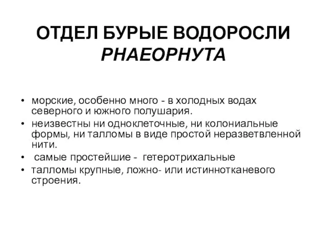 ОТДЕЛ БУРЫЕ ВОДОРОСЛИ РНАЕОРНУТА морские, особенно много - в холодных