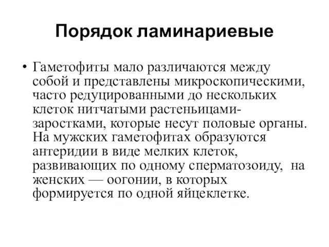 Порядок ламинариевые Гаметофиты мало различаются между собой и представлены микроскопическими,