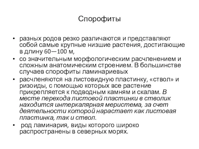 Спорофиты разных родов резко различаются и представляют собой самые крупные