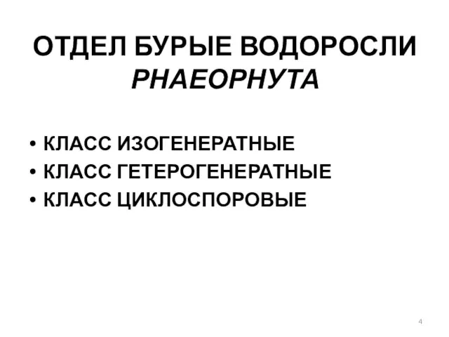 ОТДЕЛ БУРЫЕ ВОДОРОСЛИ РНАЕОРНУТА КЛАСС ИЗОГЕНЕРАТНЫЕ КЛАСС ГЕТЕРОГЕНЕРАТНЫЕ КЛАСС ЦИКЛОСПОРОВЫЕ