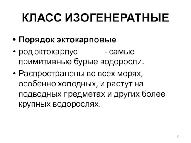 КЛАСС ИЗОГЕНЕРАТНЫЕ Порядок эктокарповые род эктокарпус - самые примитивные бурые