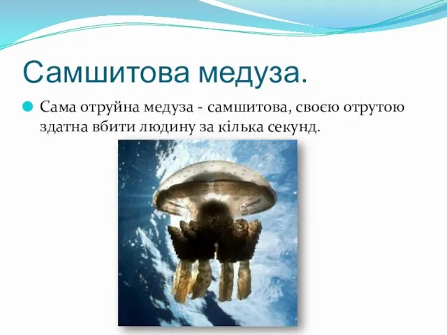 Самшитова медуза. Сама отруйна медуза - самшитова, своєю отрутою здатна вбити людину за кілька секунд.