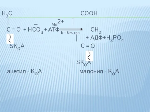 H3C COOH │ _ Mg2+ │ C = O +