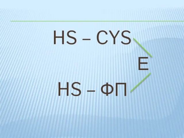 HS – CYS Е HS – ФП