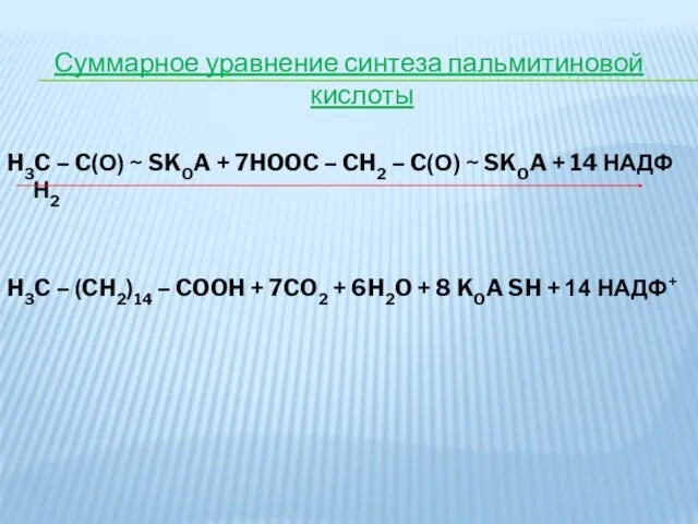 Суммарное уравнение синтеза пальмитиновой кислоты H3C – C(О) ~ SKOA