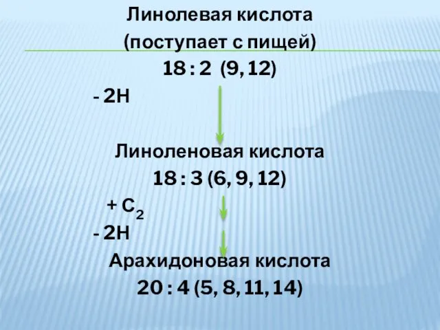 Линолевая кислота (поступает с пищей) 18 : 2 (9, 12)