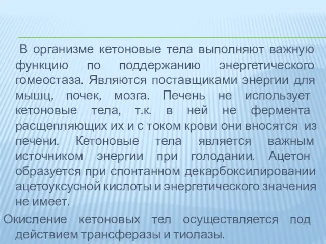 В организме кетоновые тела выполняют важную функцию по поддержанию энергетического