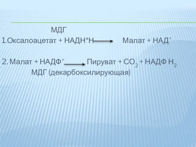 МДГ 1.Оксалоацетат + НАДН*Н Малат + НАД+ 2. Малат +