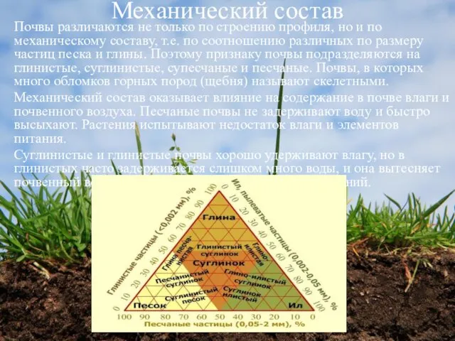 Механический состав Почвы различаются не только по строению профиля, но