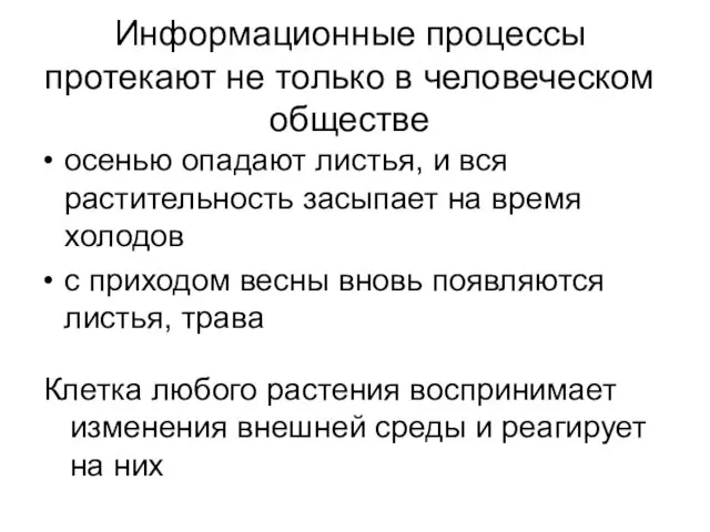 Информационные процессы протекают не только в человеческом обществе осенью опадают