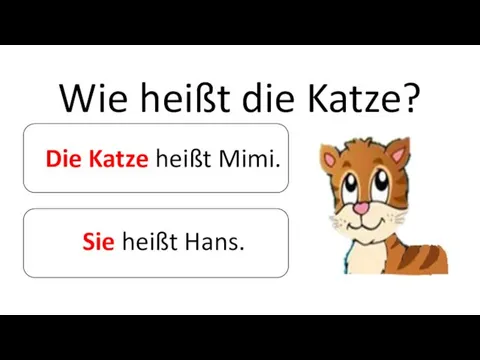 Wie heißt die Katze? Die Katze heißt Mimi. Sie heißt Hans.