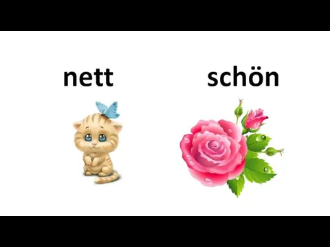 nett schön