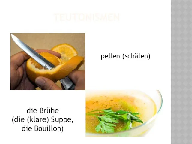 TEUTONISMEN pellen (schälen) die Brühe (die (klare) Suppe, die Bouillon)