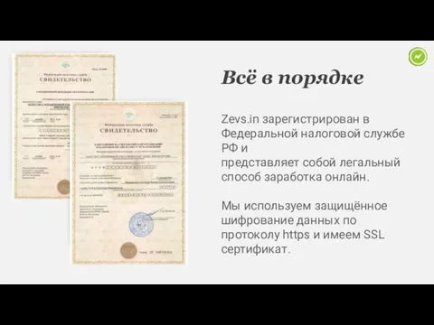 Всё в порядке Zevs.in зарегистрирован в Федеральной налоговой службе РФ и представляет собой