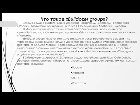 Что такое «Bulldozer group»? Россия Украина АОЭ Казахстан Сегодня холдинг