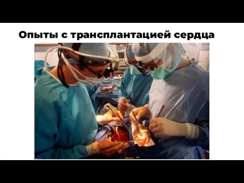 Опыты с трансплантацией сердца