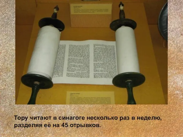 Тору читают в синагоге несколько раз в неделю, разделяя её на 45 отрывков.