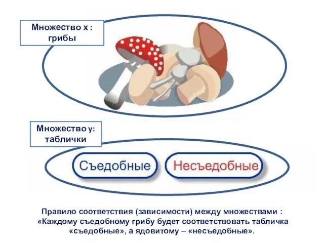 Правило соответствия (зависимости) между множествами : «Каждому съедобному грибу будет